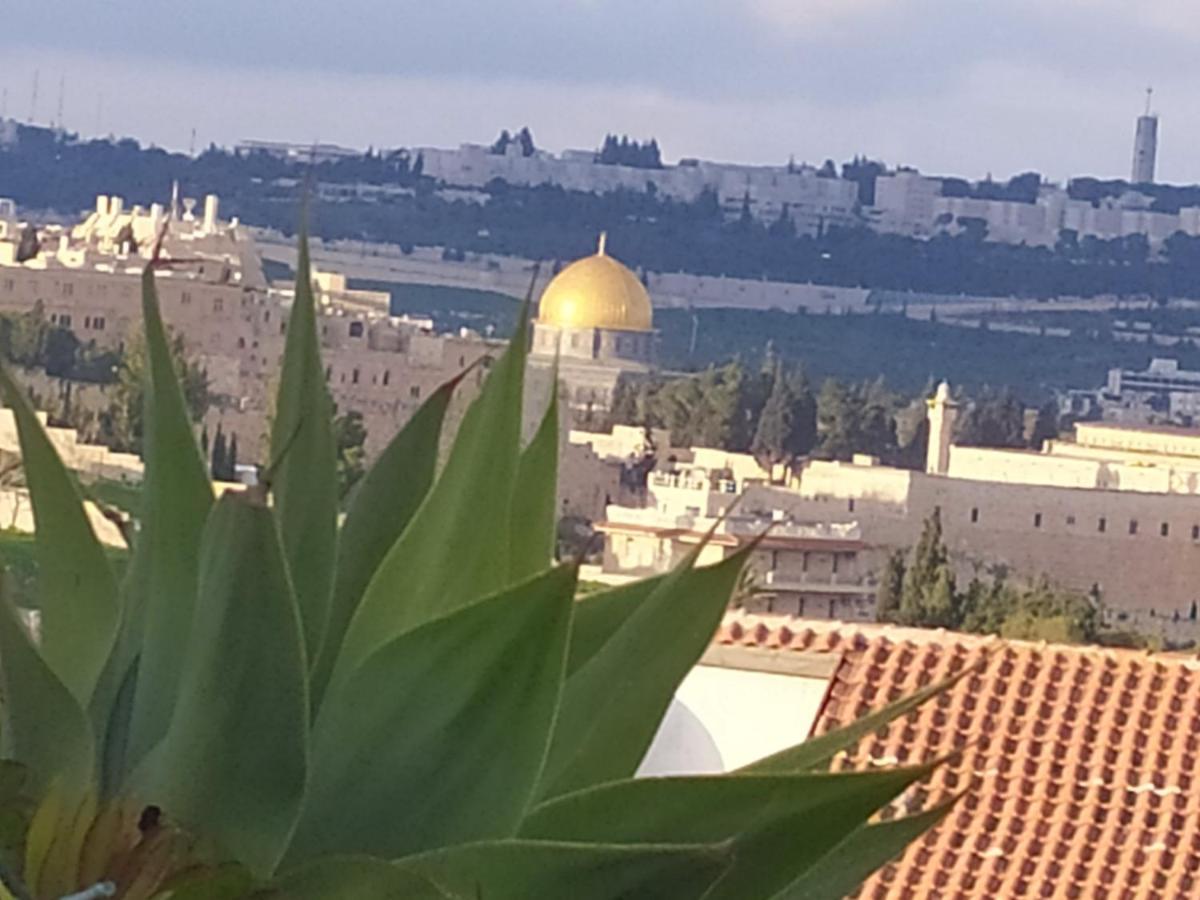 Ferienwohnung Cozy Garden Jerusalem Exterior foto