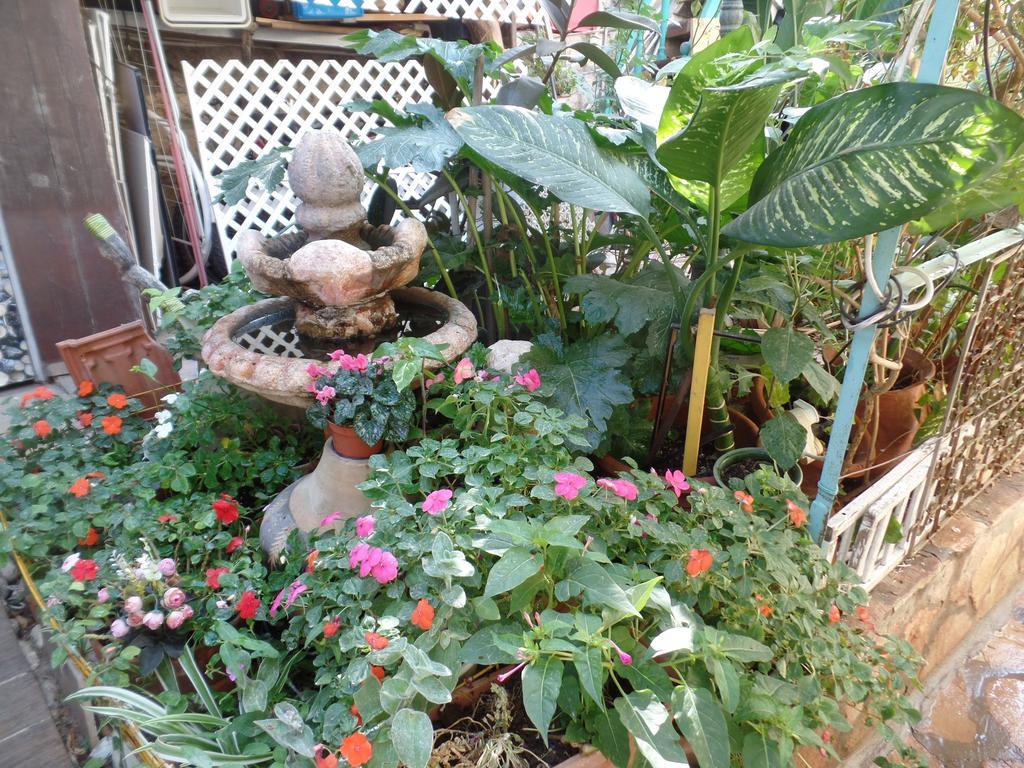 Ferienwohnung Cozy Garden Jerusalem Exterior foto