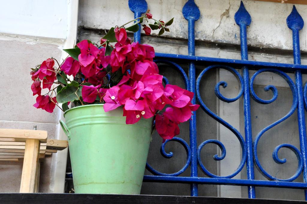 Ferienwohnung Cozy Garden Jerusalem Exterior foto