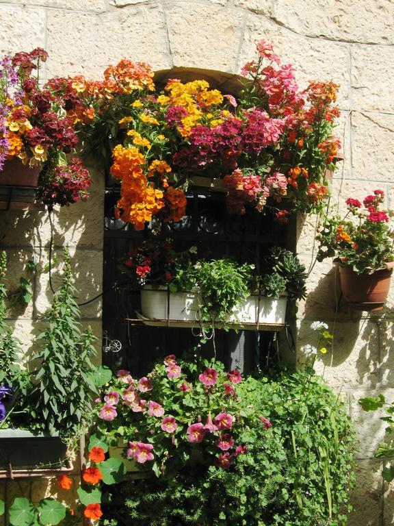 Ferienwohnung Cozy Garden Jerusalem Exterior foto