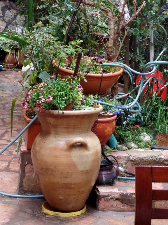 Ferienwohnung Cozy Garden Jerusalem Exterior foto