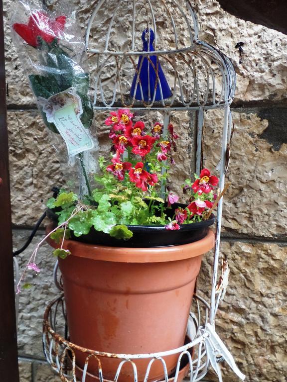 Ferienwohnung Cozy Garden Jerusalem Exterior foto