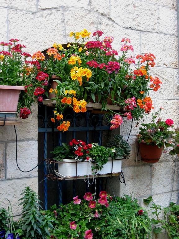 Ferienwohnung Cozy Garden Jerusalem Exterior foto