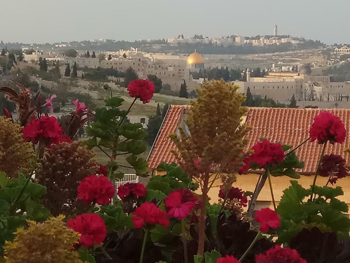 Ferienwohnung Cozy Garden Jerusalem Exterior foto