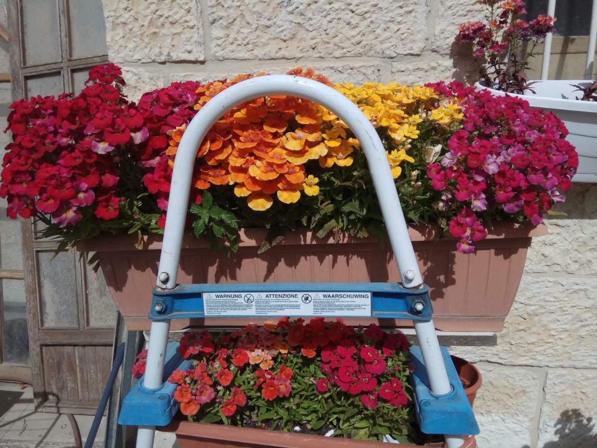 Ferienwohnung Cozy Garden Jerusalem Exterior foto